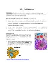 A short quiz to assess your students' understanding of plant and animal cells and the various organelles. Cellcity_answerkey - Answer key CELL CITY INTRODUCTION ...