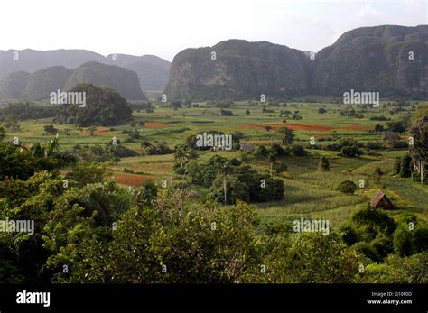 Sweeping View Of Valle De Vinales Cuba Farm Houses Mountains Hi Res