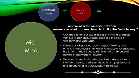 Wise Mind States Of Mind Mindfulness Dbt Skills Application