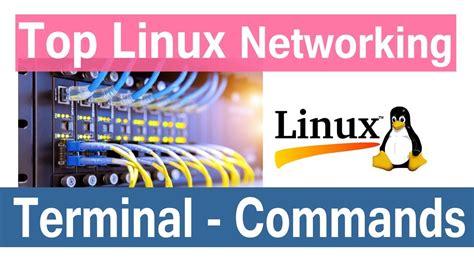 Top Linux Networking Commands Linux Tutorial For Beginners And