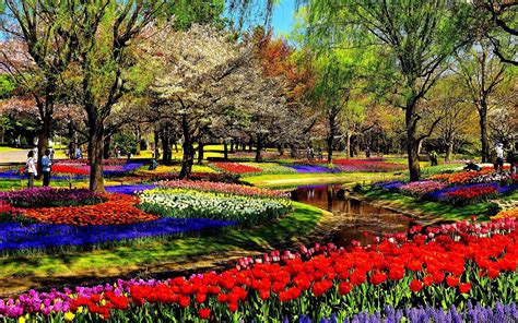 Flowers In Park Wallpapers Wallpaper Cave