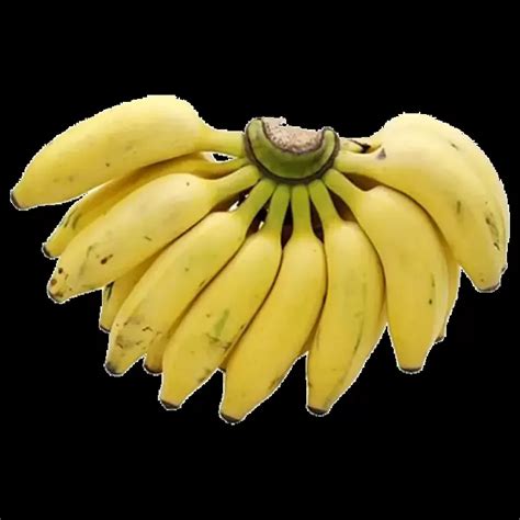 Banana Yelakki Buy Banana Yelakki Online From