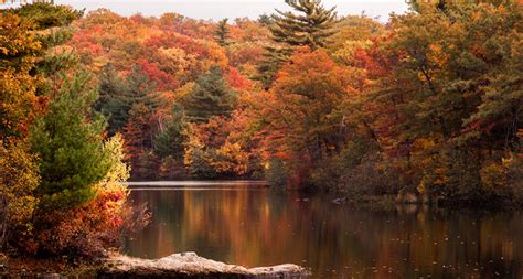 Climate Change Could Shift New Englands Fall Foliage