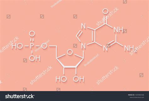 Guanosine Monophosphate Gmp Guanylic Acid Rna Stock Illustration