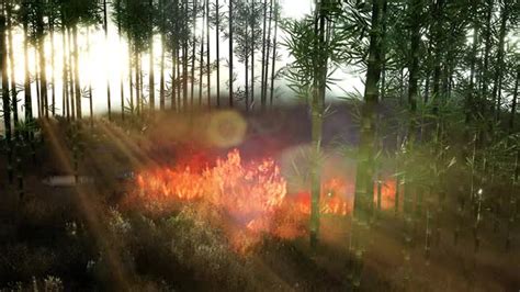 Wind Blowing On A Flaming Bamboo Trees During A Forest Fire Motion