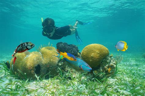 Snorkel Tours To World Famous Belize Blue Hole