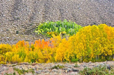 Autumn Colors Photos Diagrams And Topos Summitpost