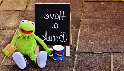 Kermit Cup Drink Coffee Break Coffee Break Coffee Cup Funny Cute