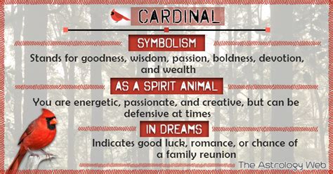 Cardinal Bird Meaning And Symbolism The Astrology Web