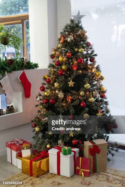 Christmas Tree Bottom Photos And Premium High Res Pictures Getty Images