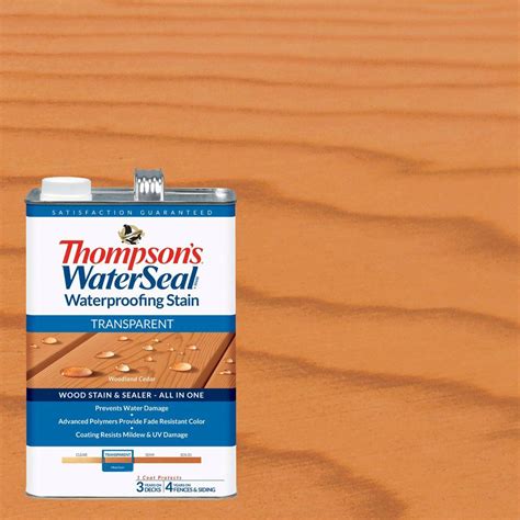 Thompsons Waterseal 1 Gal Transparent Woodland Cedar Waterproofing