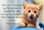 Life is not measured by the number of breaths we take, but by the ...