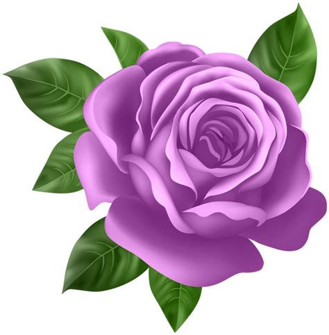 clip art purple rose 20 free cliparts download images on clipground 2024
