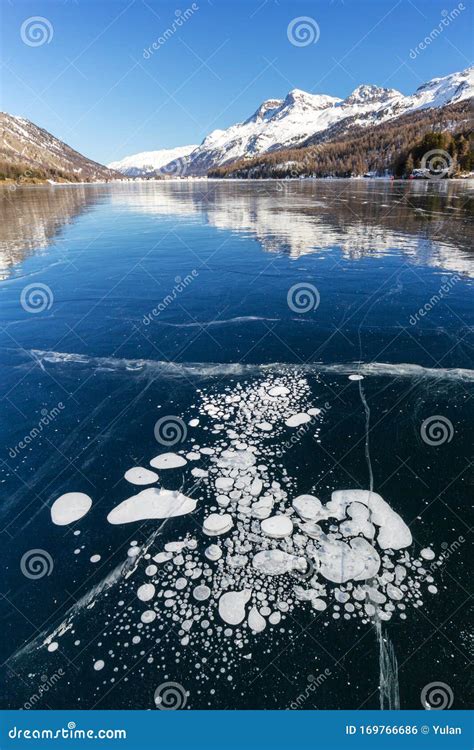 Trapped Methane Bubbles Under The Frozen Lake Stock Photo Image Of