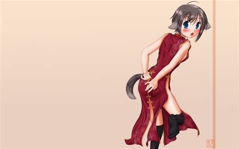 Wallpaper Illustration Anime Tail Brunette Dress Cartoon