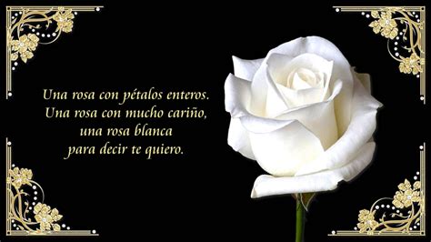 Imágenes De Rosas Blancas Con Poemas Imagenes De Amor Gratis