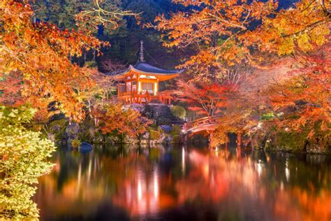 Experience Kyoto In The Autumn Months 10 Great Places To Explore