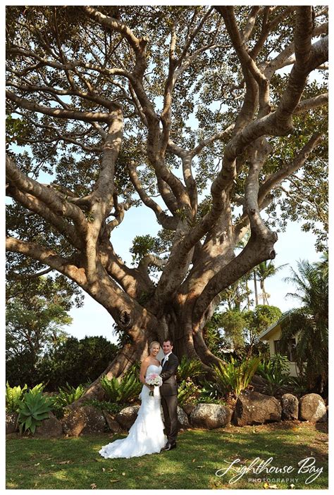 Fig Tree Wedding Byron Bay Lighthouse Bay Photography