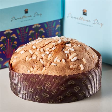 Novacart Group Panettone With Chocolate Dried Figs And