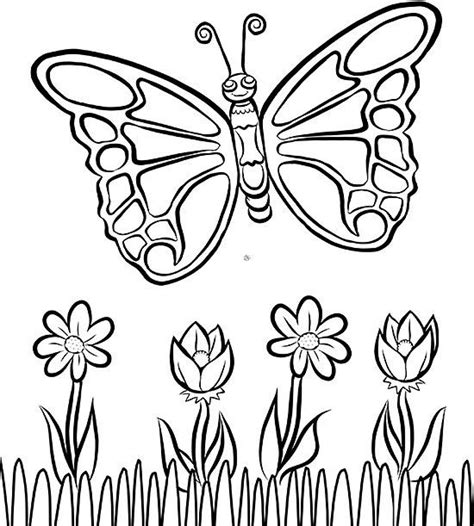 Free Butterfly Coloring Page