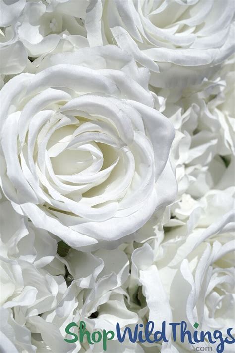 Pure White Roses Flower Wall Backdrop Kit