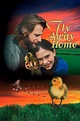 Fly Away Home (1996) - Posters — The Movie Database (TMDB)