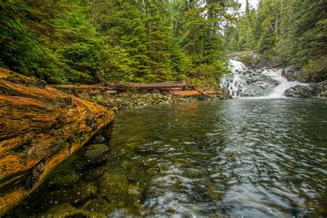 Canada Waterfalls Rivers Forests Vancouver Island Fletcher Falls