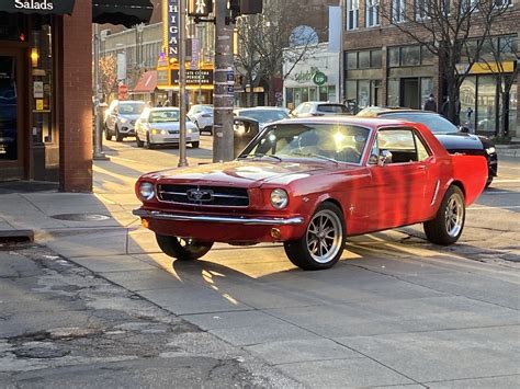 Two Modern Mustangs And This Beautiful Classic Mustang Revving Their
