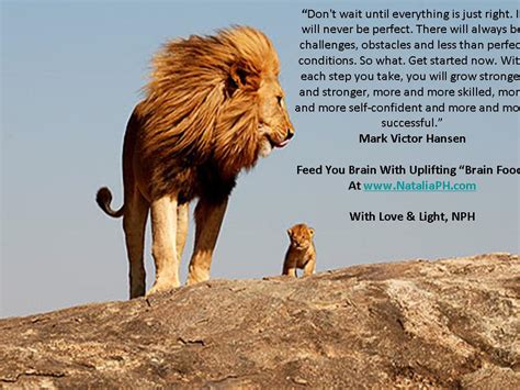 Cute Lion Quotes Quotesgram