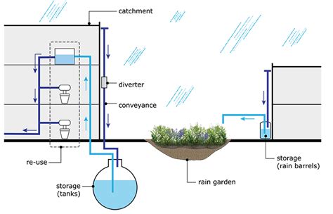 Rainwater Harvesting A Beginners Guide 51 Off