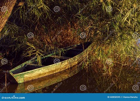 Boat In The Reeds At Sunset Time Stock Image Image Of Luxury