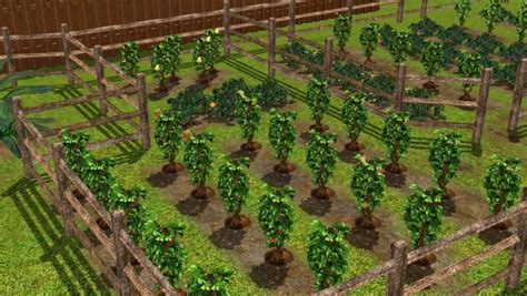 We did not find results for: My Sims 3 Blog: Garden with perfect harvestables for busy sims by SchiZohybrid