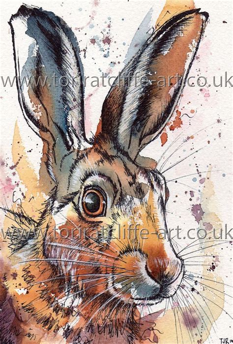 Hare Watercolour Watercolor Animals Watercolor Paintings