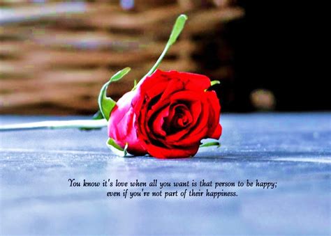 Beautiful rose with love quotes beautiful red roses with. Beautiful love quotes for her with rose flower images ...