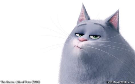 Hey everyone i have a question do you think that snowball will be in the secret life of pets 2, it makes sense because he has his own trailer although these events don't seem like their in the film #Chloe is not impressed in this #wallpaper from the # ...