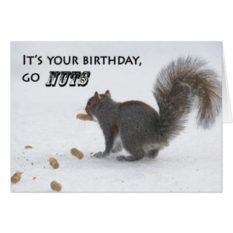 Funny Squirrel Birthday Greeting Card