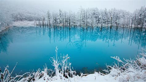 Wallpaper Japan Hokkaido Blue Pond Trees Snow Winter 1920x1080