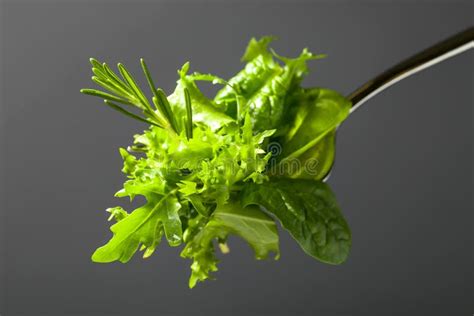 Fresh Green Salad With Spinacharugula And Lettuce Stock Photo Image