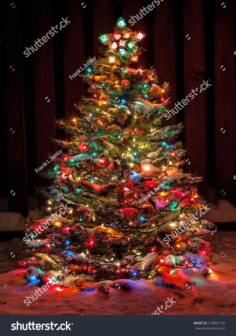 Snow Covered Christmas Tree Multi Colored Stock Photo