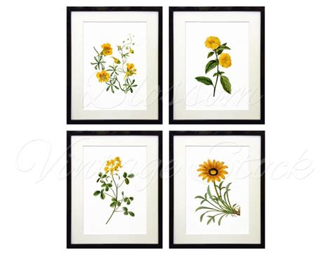 Botanical Print Set Yellow Flowers Instant Download Digital Etsy