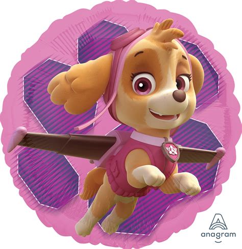 Paw Patrol Skye And Everest 34088 Funnyballoonsusa