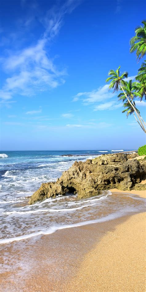 Download 1440x2880 Wallpaper Beach Sea Waves Tropical Beach Palm Tree Lg V30 Lg G6