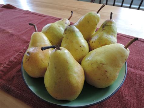 Honeyed Pear Lemon Marmalade Pomona Pectinpomona Pectin