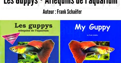 Les Guppys Arlequins De L Aquarium LikeGuppy Conseils Sur L