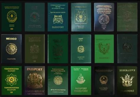 The Reason Why There Are Only Four Passport Colors In The World