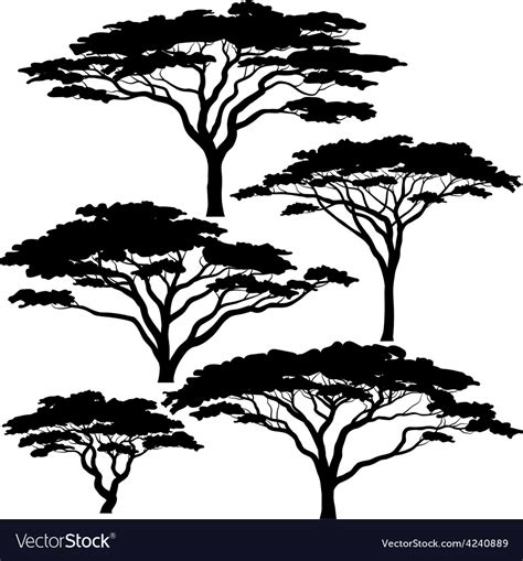 Acacia Tree Silhouettes Royalty Free Vector Image
