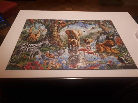 Ravensburgers Adventures In The Jungle 1000 Pieces I Cant Do