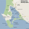 The Official Bodega Bay Area Website