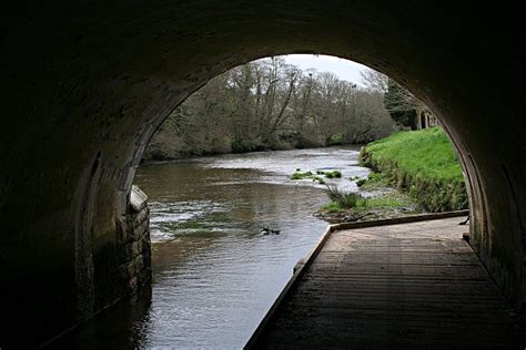 Footpath Under The Bridge © Tony Atkin Geograph Britain And Ireland