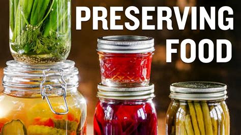 Useful Tips And Examples Of Food Preservation Youtube